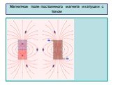 Магнитное поле постоянного магнита и катушки с током