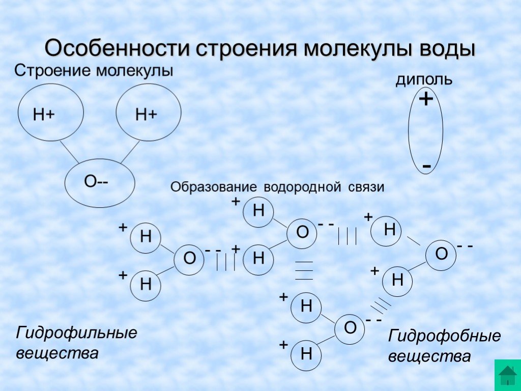 Особенности строения связанной воды. Схема структуры молекулы воды. Молекулы в жидкостях особенности строения. Особенности строения молекулы воды. Строение молекулы воды схема.