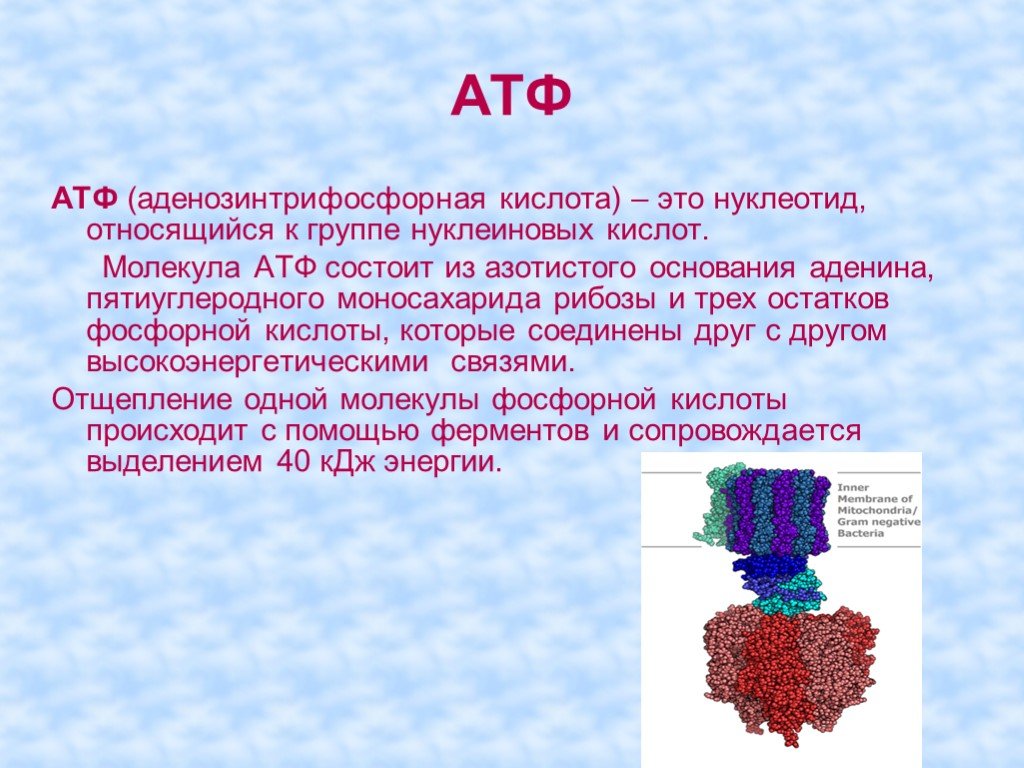 Молекула атф включает. АТФ. Молекула АТФ. Структура АТФ биохимия. АТФ это в биологии.