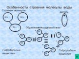 Особенности строения молекулы воды. Гидрофильные вещества. Гидрофобныевещества