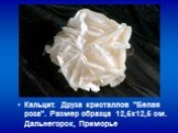 Кальцит. Друза кристаллов "Белая роза". Размер образца 12,5х12,5 см. Дальнегорск, Приморье