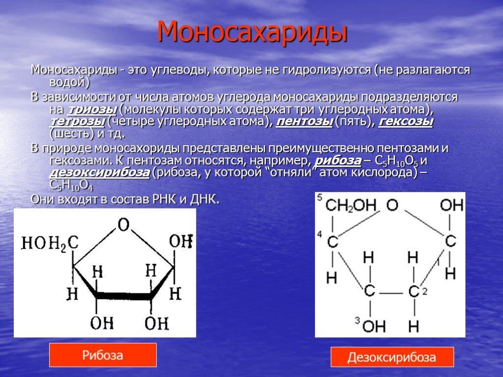 Рибоза глюкоза дезоксирибоза. Углеводы моносахариды формулы. Моносахариды Глюкоза фруктоза рибоза. Моносахариды формулы веществ. Моносахариды гексозы формула.