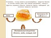 Установлено, что мед является высококалорийным продуктом близким по составу к плазме крови. При сложном расщеплении глюкозы и фруктозы выделяется большое количество энергии, необходимой для жизненных процессов организма. Белки. Витамины: B1, E,PP, H, K , C. Минеральные вещества: Железо, медь, кальци