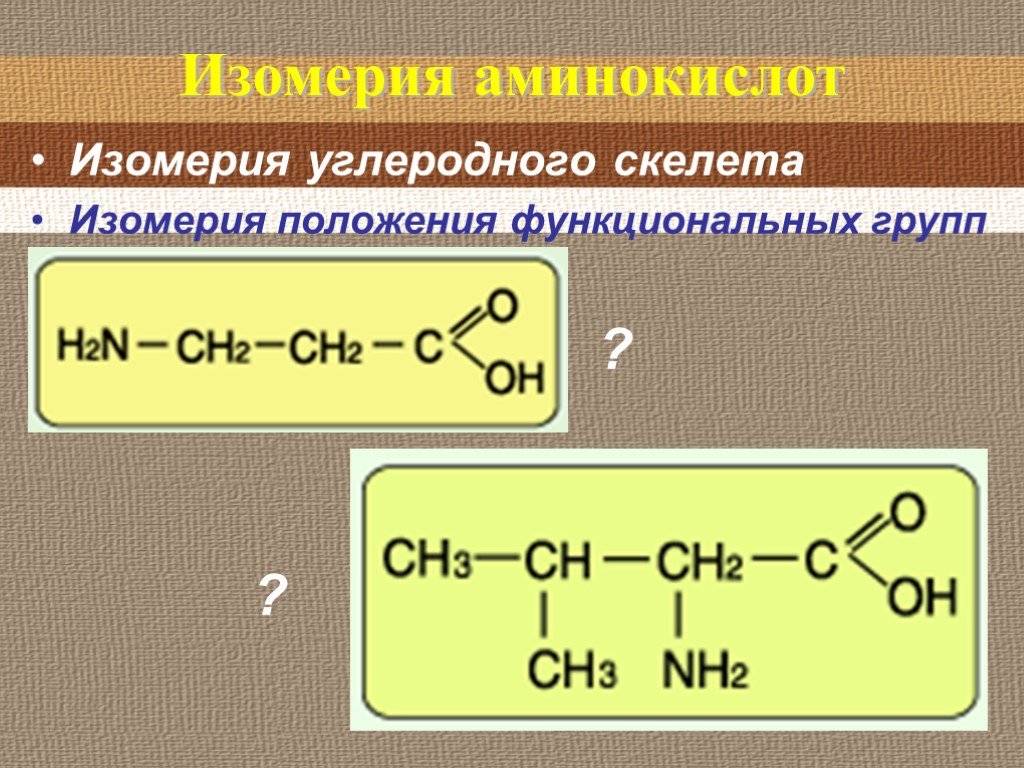 Изомерия аминов. Изомерия углеродного скелета аминокислот. Изомерия углеродного скелета Аминов. Углеродный скелет аминокислот. Изомерия положения функциональной группы аминокислот.