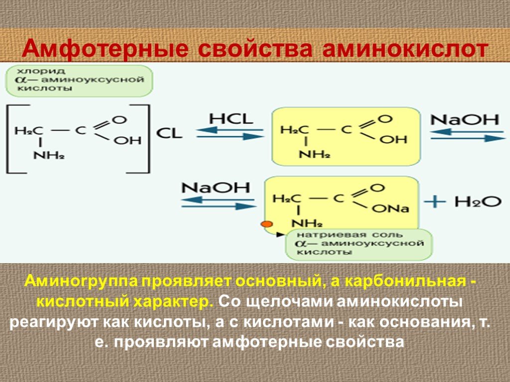 Реакция образования hcl. Химические свойства аминокислот Амфотерность. Амфотерные свойства аминокислот. Амфотерность аминокислот реакции. Реакции доказывающие Амфотерность аминокислот.