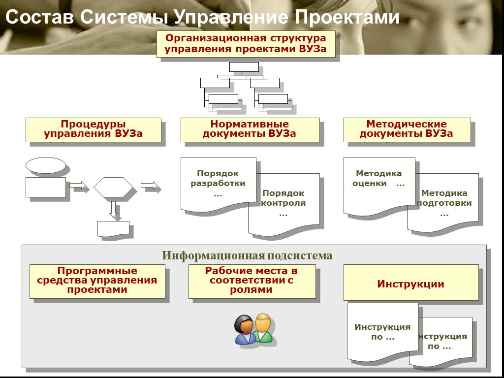 Управление проектами институты