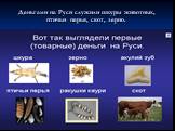 Деньгами на Руси служили шкуры животных, птичьи перья, скот, зерно.