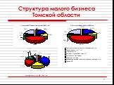 Структура малого бизнеса Томской области