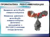 ПРОФИЛАКТИКА РЕЗУС-ИММУНИЗАЦИИ. Введение анти-Rh0(D)-иммуноглобулина Механизм действия - анти-Rh0(D)-иммуноглобулин (антитело) связывается с Rh(+)[D(+)] клетками плода (антиген)