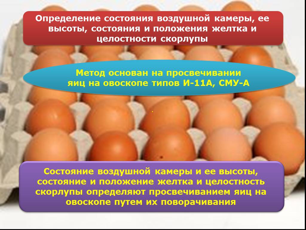 Оценка качества яиц. Экспертиза куриных яиц. ВСЭ яиц и яичных продуктов. Методы исследования яиц. Ветеринарно санитарная оценка яиц.