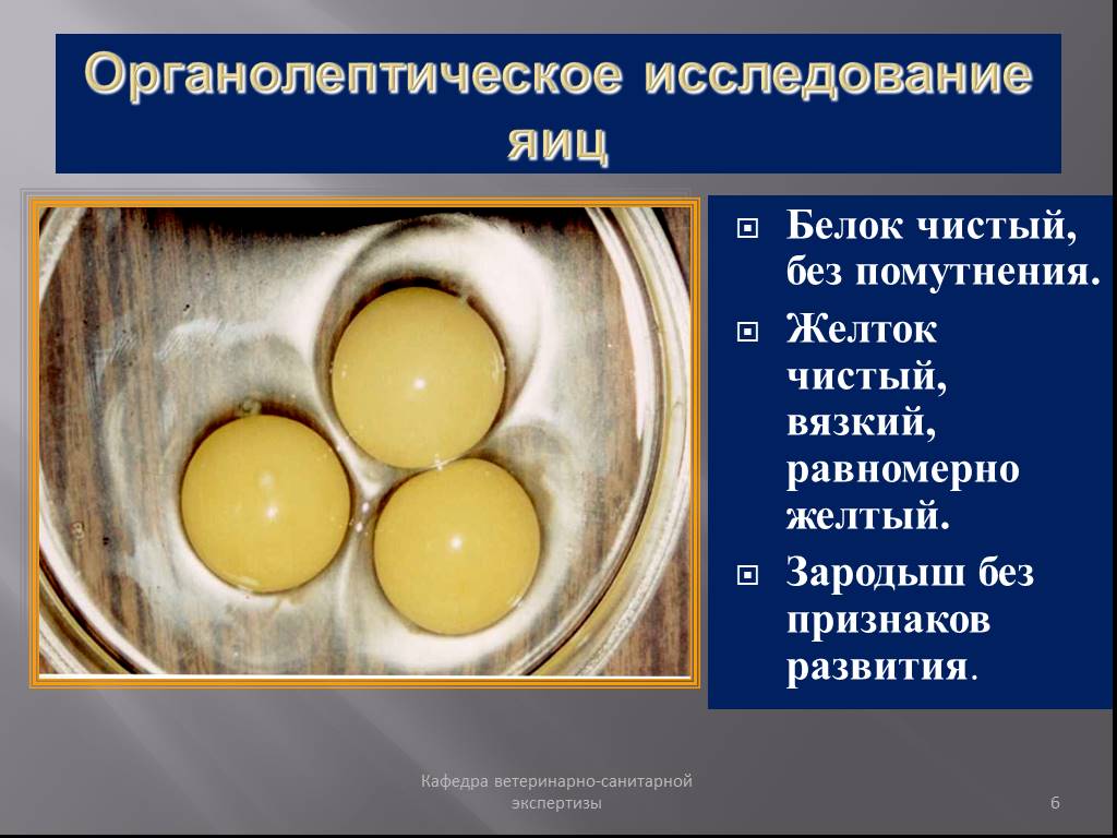 Оценка качества яиц. Исследование яиц. Показатели качества яиц. Органолептические показатели яиц. Экспертиза куриных яиц.