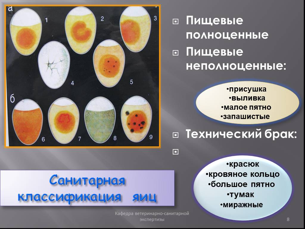 Оценка качества яиц. Санитарная классификация яиц. Экспертиза качества яиц. Экспертиза куриных яиц. Пищевые пищевые неполноценные яйца.