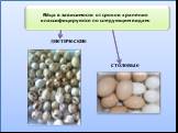 диетические столовые. Яйца в зависимости от сроков хранения классифицируются по следующим видам: