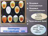 Санитарная классификация яиц. Пищевые полноценные Пищевые неполноценные: Технический брак: присушка выливка малое пятно запашистые. красюк кровяное кольцо большое пятно тумак миражные
