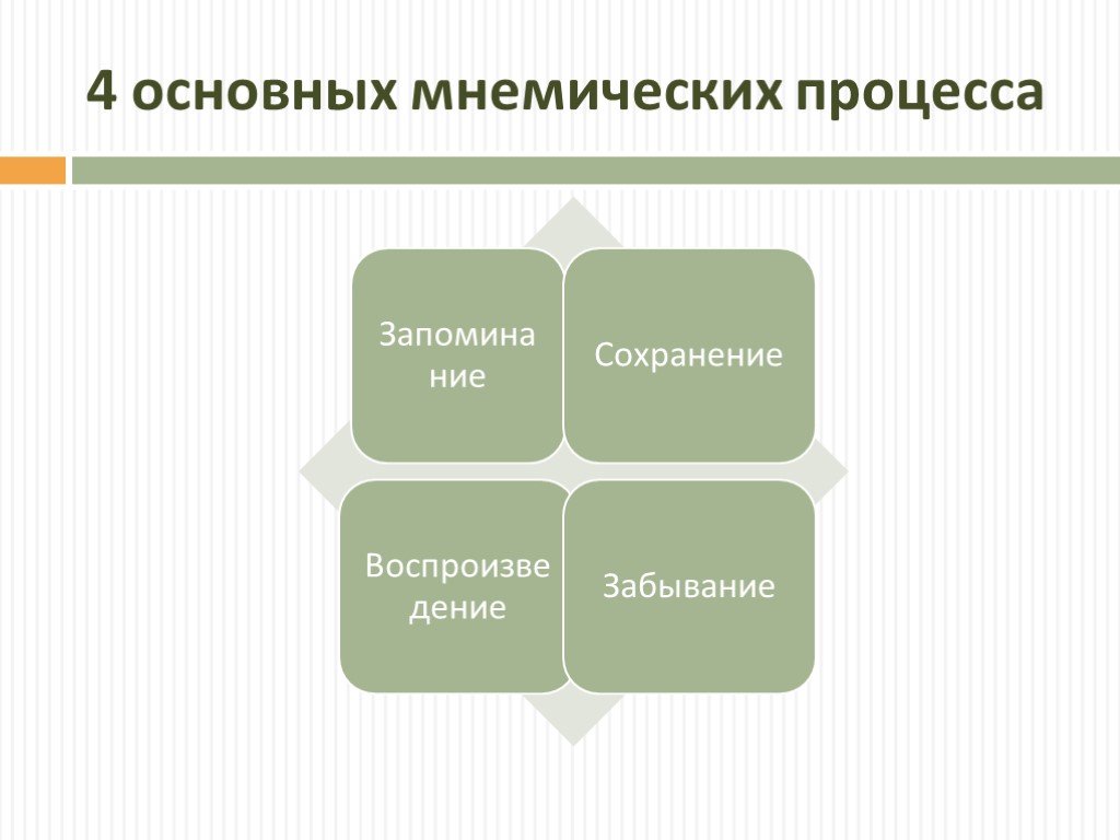 Память презентация по биологии