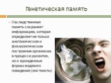 Генетическая память. Наследственная память сохраняет информацию, которая определяет не только анатомическое и физиологическое построение организма в процессе развития, но и врожденные формы видового поведения (инстинкты)