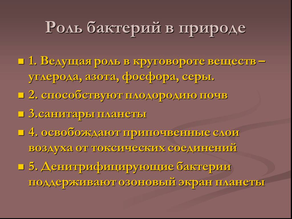 Бактерии в круговороте выполняют роль