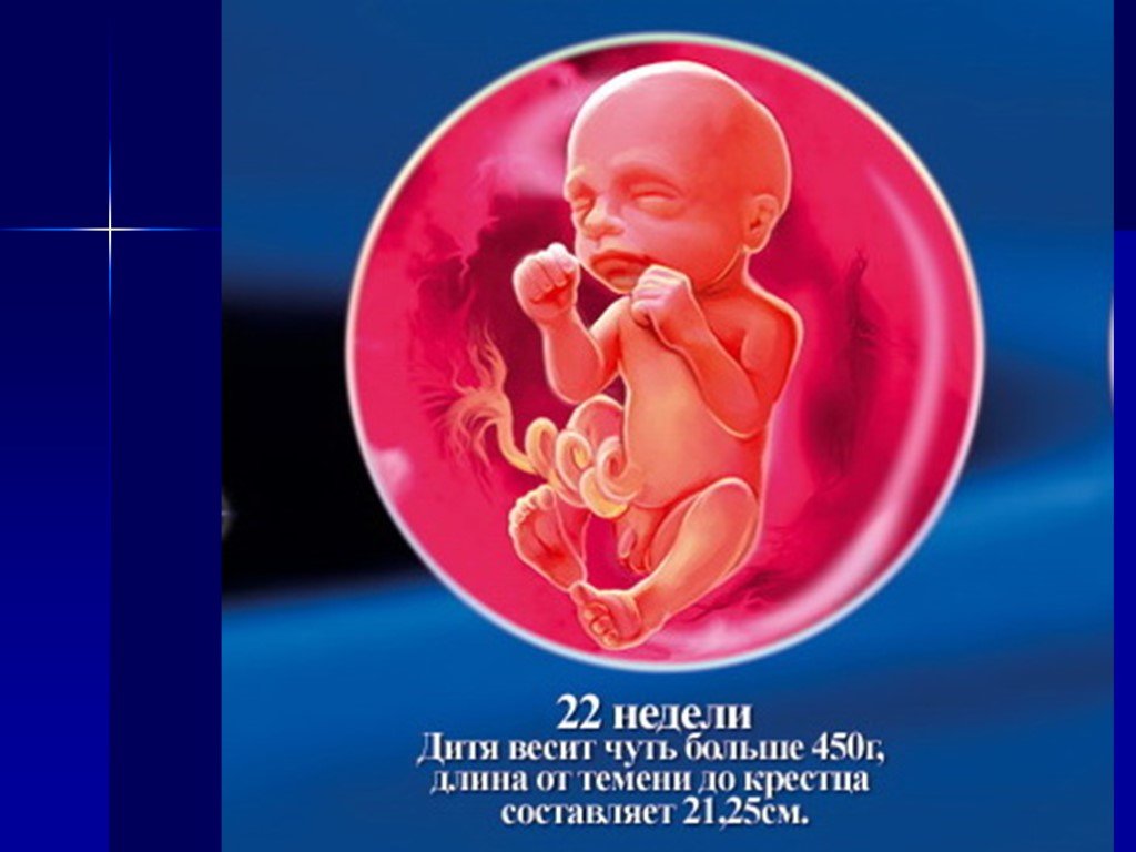 22 недели что происходит с малышом. Плод на 22 неделе беременности. Ребёнок в 22 недели беременности. Ребенок в утробе 22 недели.