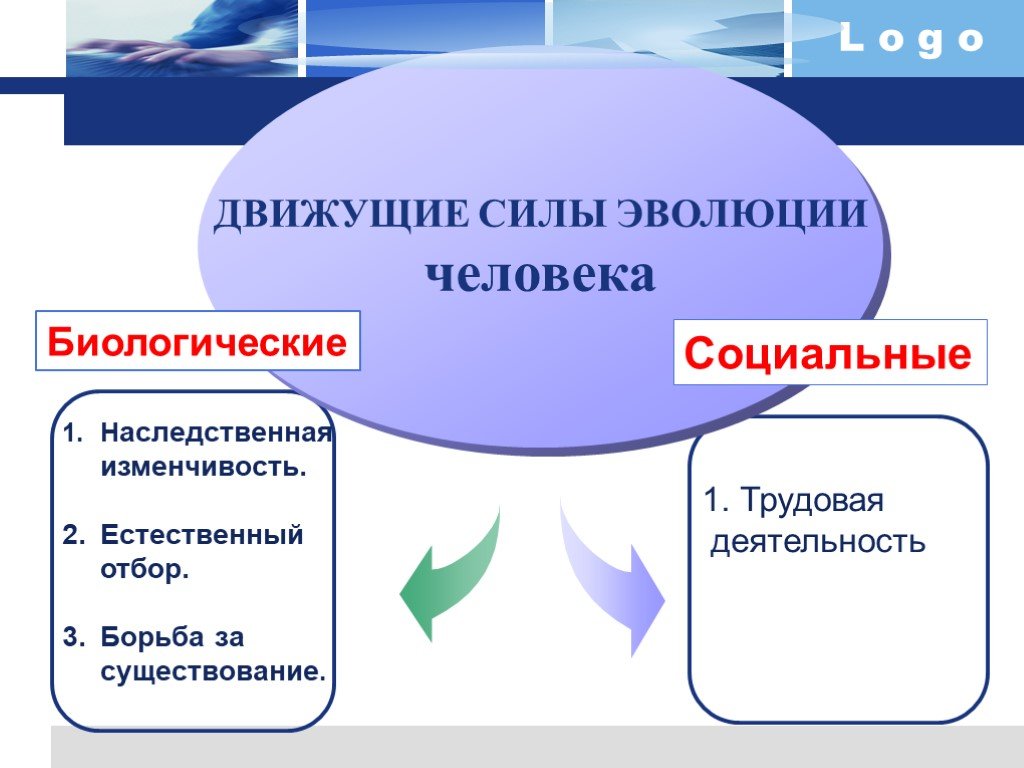 Влияние движущих сил на эволюцию человека проект