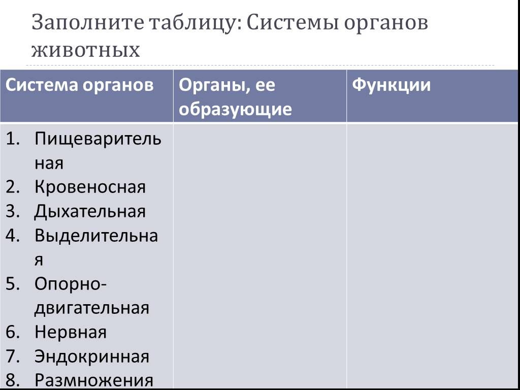 Органы и системы органов животных и человека. Таблица органы и системы органов животных 6 класс биология. Системы органов животных и их функции. Системы органов животных 5 класс биология. Таблица по биологии 6 класс органы и системы органов животных.