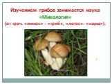 Изучением грибов занимается наука «Микология» (от греч. «микос» - «гриб», «логос»- «наука»).