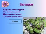 Вверх по стенке крутой, По бетонке литой Многоножка ползет, С собой листья везет. Плющ