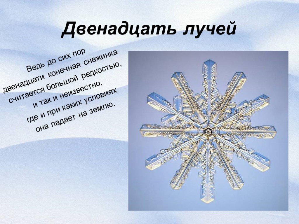 Сколько лучей у снежинки. Двенадцать лучей. Лучи снежинки. Снежинка 12 лучей.