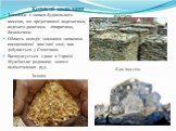 Значними є запаси будівельного каменю, що представлені андезитами, андезито-дацитами, ліпаритами, базальтами. Область володіє значними запасами високоякісної кам'яної солі, яка добувається у Солотвино. Експлуатується єдине в Україні Мужіївське родовище золото поліметалевих руд. Андезити Кам'яна сіль