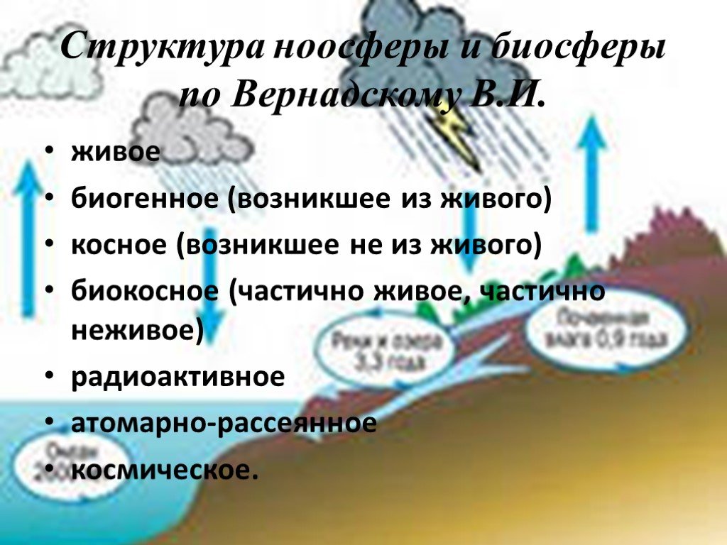 Биосфера эволюция ноосфера. Структура ноосферы по Вернадскому. Компоненты биосферы по Вернадскому. Структура биосферы по Вернадскому. Строение биосферы по Вернадскому.