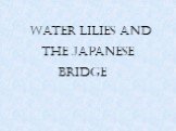 Water Lilies and the Japanese bridge