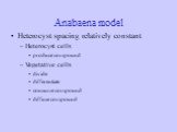 Anabaena model. Heterocyst spacing relatively constant Heterocyst cells produce compound Vegetative cells divide differentiate consume compound diffuse compound