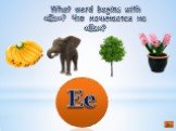 What word begins with «Ee»? Что начинается на «Ee»? Ee