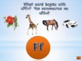 What word begins with «Ff»? Что начинается на «Ff»? Ff