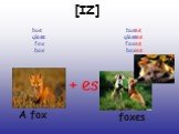 [IZ] bus buses glass glasses fox foxes box boxes. A fox foxes + es