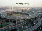 bridge[ʹbridᴣ]
