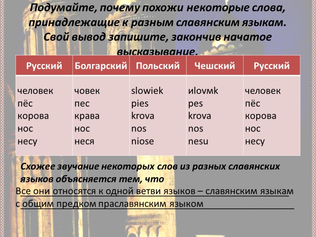 Класс похожие слова. Славянские слова. Славянские языки похожи. Слова на различных славянских языках. Различия славянских языков.