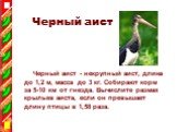 Черный аист. Черный аист - некрупный аист, длина до 1,2 м, масса до 3 кг. Собирают корм за 5-10 км от гнезда. Вычислите размах крыльев аиста, если он превышает длину птицы в 1,58 раза.