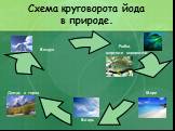 Схема круговорота йода в природе.