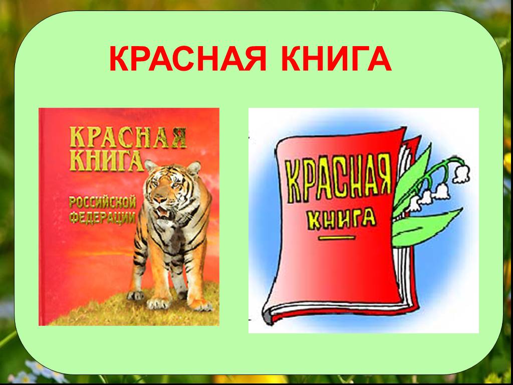 Проект на тему красная книга 2 класс окружающий мир