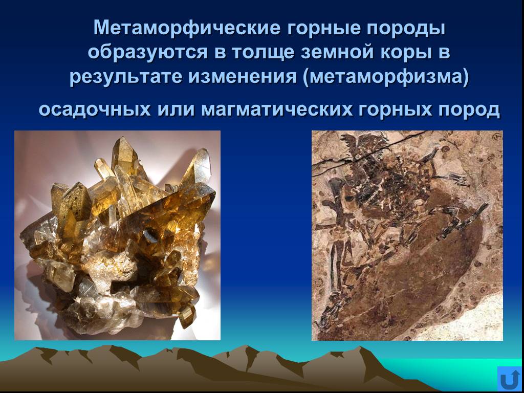 Так формируются различные горные породы. Магматические осадочные и метаморфические горные породы. Метаморфическая минерала и магматическая. Горные породы и минералы магматические метаморфические осадочные. Минералы метаморфических пород.