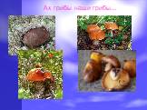 Ах грибы наши грибы…