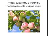 Чтобы вырастить 1 кг яблок, потребуется 700 литров воды