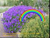 Ну а фиолетовый я нашла в саду, там фиалки яркие каждый год цветут.