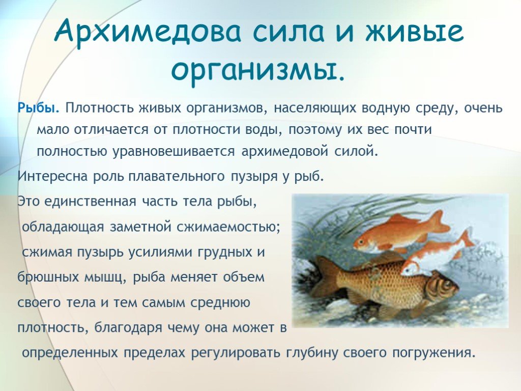 В силу какая рыба. Роль выталкивающей силы в жизни живых организмов. Архимедова сила примеры. Архимедова сила в жизни человека. Архимедова сила презентация.