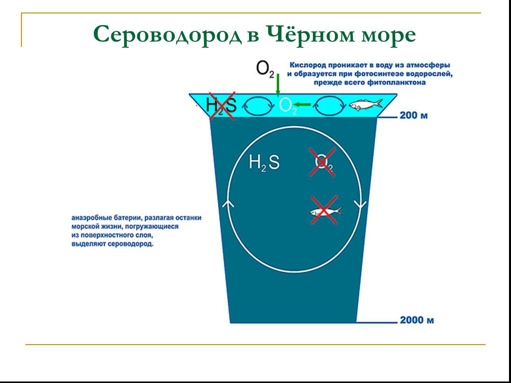 Где сероводород. Чёрное море сероводородный слой. Слой сероводорода на дне черного моря. Чёрное море сероводородный слой глубина. Сероводород в черном море.