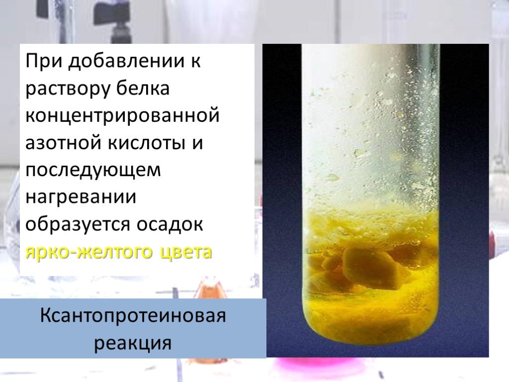 Белок концентрированная азотная кислота. Яичный белок плюс азотная кислота. Цветные реакции на белки ксантопротеиновая реакция. Ксантопротеиновая реакция белков реакция. Белок и азотная кислота.