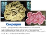 Секреции. Секреция — минеральный агрегат, образующийся в результате заполнения неправильной, но обычно округлой формы, полости минеральным веществом. Характерной особенностью многих секреций является последовательное концентрически послойное отложение вещества по направлению от стенок пустоты к цент
