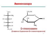 Аминосахара. D-глюкозамин (2-амино-2-дезокси-D-глюкопираноза)