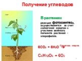 В растениях реакция фотосинтеза, осуществляется за счет солнечной энергии с участием зелёного пигмента растений - хлорофилла. 6СО2 + 6Н2О  С6Н12О6 + 6О2. Получение углеводов. Солнечная энергия