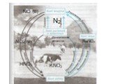 N2 NO (II) KNO3 HNO3. Органические вещества. NaNO2 NO2(IV)